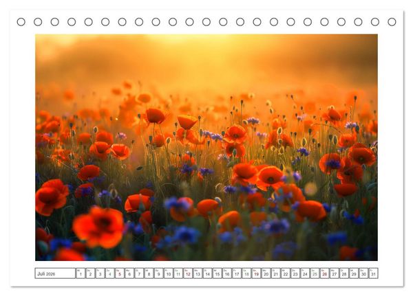 Produktbild: Mohntr&auml;ume im Licht (Tischkalender 2026 DIN A5 quer), CALVENDO Monatskalender