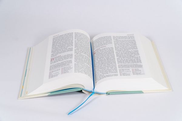 Produktbild: Neues Leben. Die Bibel f&uuml;r Kids