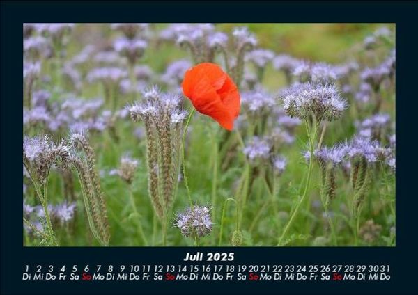 Produktbild: Blick in die Natur 2025 Fotokalender DIN A5