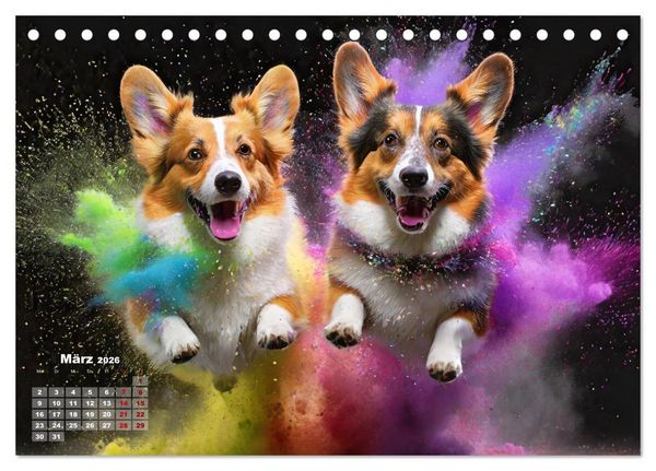 Produktbild: Holi Pulver - Doppelte Action (Tischkalender 2026 DIN A5 quer), CALVENDO Monatskalender