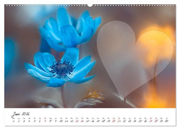 Produktbild: Blauer Bl&uuml;tentraum - Bastelkalender (Wandkalender 2026 DIN A2 quer), CALVENDO Monatskalender