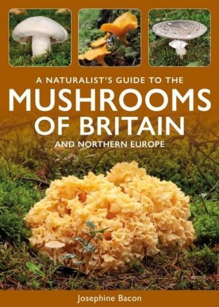 Produktbild: A Naturalist's Guide to the Mushrooms of Britain and Northern Europe