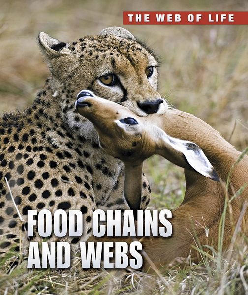 Produktbild: Food Chains and Webs