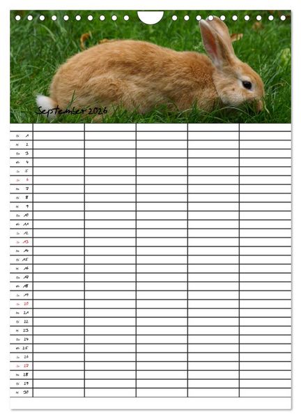 Produktbild: Meerschweinchen und Kaninchen Familienplaner (Wandkalender 2026 DIN A4 hoch), CALVENDO Monatskalender