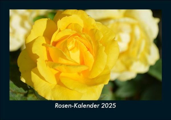 Rosen-Kalender 2025 Fotokalender DIN A5