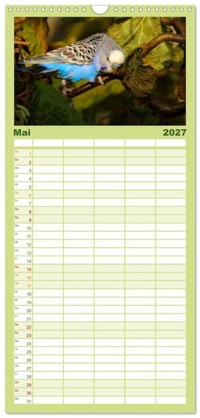 Produktbild: Familienplaner 2027 - Wellensittiche mit 5 Spalten (Wandkalender, 21 x 45 cm) CALVENDO