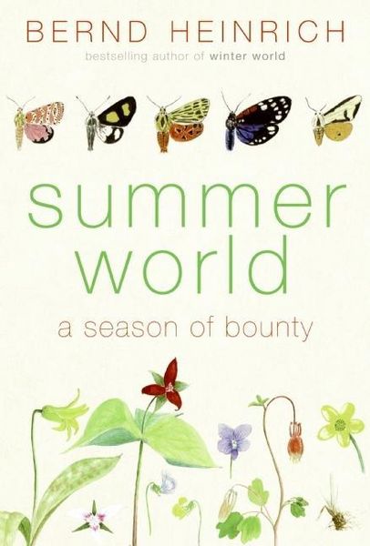 Produktbild: Summer World