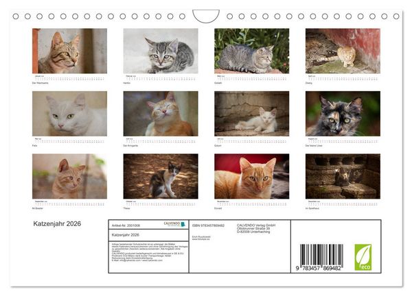 Produktbild: Katzenjahr 2026 (Wandkalender 2026 DIN A4 quer), CALVENDO Monatskalender