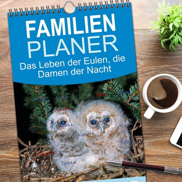 Produktbild: Familienplaner 2026 - Das Leben der Eulen, die Damen der Nacht mit 5 Spalten (Wandkalender, 21 x 45 cm) CALVENDO