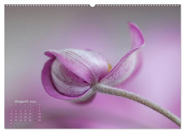 Produktbild: Zauberhafte Bl&uuml;ten (Wandkalender 2026 DIN A2 quer), CALVENDO Monatskalender