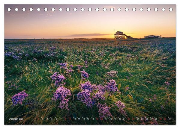 Produktbild: Nordseeurlaub in St. Peter-Ording (Tischkalender 2026 DIN A5 quer), CALVENDO Monatskalender