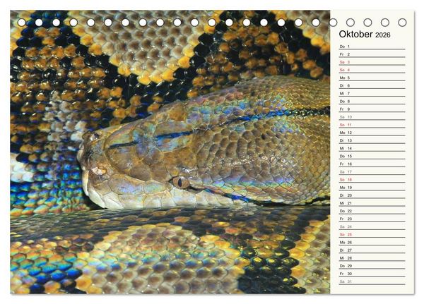 Produktbild: Gef&auml;hrliche Schlangen (Tischkalender 2026 DIN A5 quer), CALVENDO Monatskalender