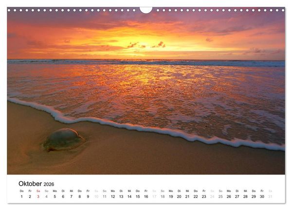 Produktbild: Sylt, der nordfriesische Inseltraum (Wandkalender 2026 DIN A3 quer), CALVENDO Monatskalender