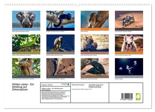 Produktbild: Wildes Leben - Ein Streifzug auf Zehenspitzen (hochwertiger Premium Wandkalender 2026 DIN A2 quer), Kunstdruck in Hochglanz