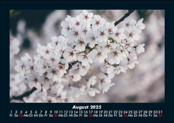 Produktbild: Blumentr&auml;ume 2025 Fotokalender DIN A5