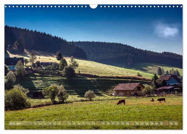 Produktbild: Schwarzwald (Wandkalender 2026 DIN A3 quer), CALVENDO Monatskalender