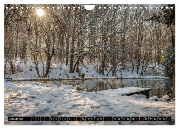 Produktbild: Wege des einfachen Gl&uuml;cks - Spazierg&auml;nge im Wald (Wandkalender 2026 DIN A4 quer), CALVENDO Monatskalender