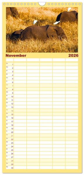 Produktbild: Familienplaner 2026 - Mosambik - Eine Perle im S&uuml;den Afrikas. mit 5 Spalten (Wandkalender, 21 x 45 cm) CALVENDO