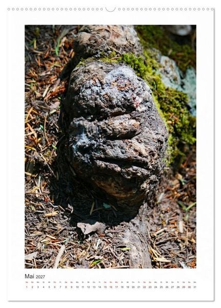 Produktbild: B&auml;ume und ihre Gesichter (hochwertiger Premium Wandkalender 2027 DIN A2 hoch), Kunstdruck in Hochglanz