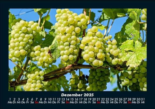 Produktbild: Obstkalender 2025 Fotokalender DIN A5