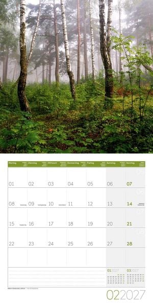 Produktbild: Zauber des Waldes Kalender 2027 - 30x30 - Art12