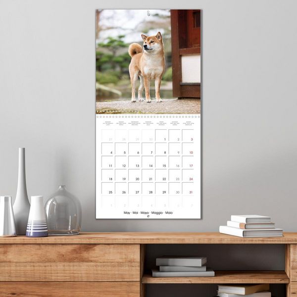 Produktbild: Little Samurais - The Shiba Inu (Wall Calendar 2026 12 &times; 12 Inch) CALVENDO 12 Month Wall Calendar