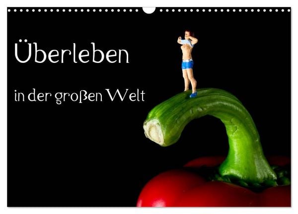 Produktbild: &Uuml;berleben in der gro&szlig;en Welt - HO Figuren (Wandkalender 2026 DIN A3 quer), CALVENDO Monatskalender