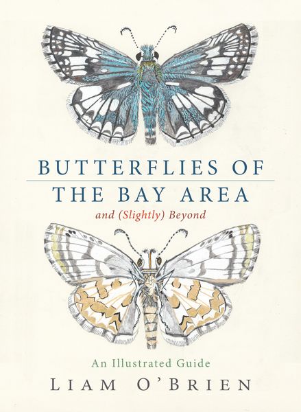Produktbild: Butterflies of the Bay Area and (Slightly) Beyond
