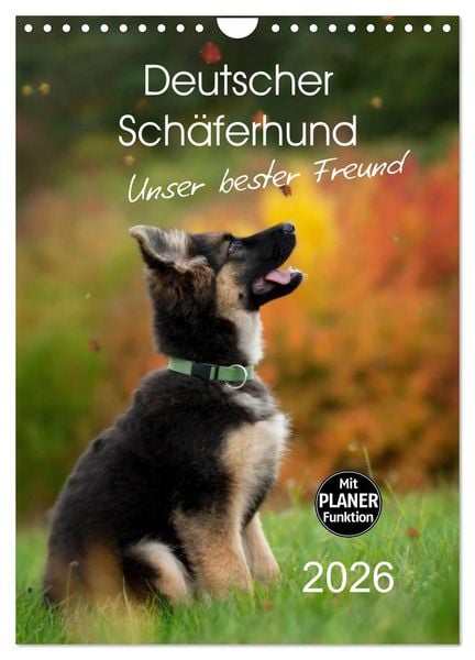 Deutscher Schäferhund - unser bester Freund (Wandkalender 2026 DIN A4 hoch), CALVENDO Monatskalender
