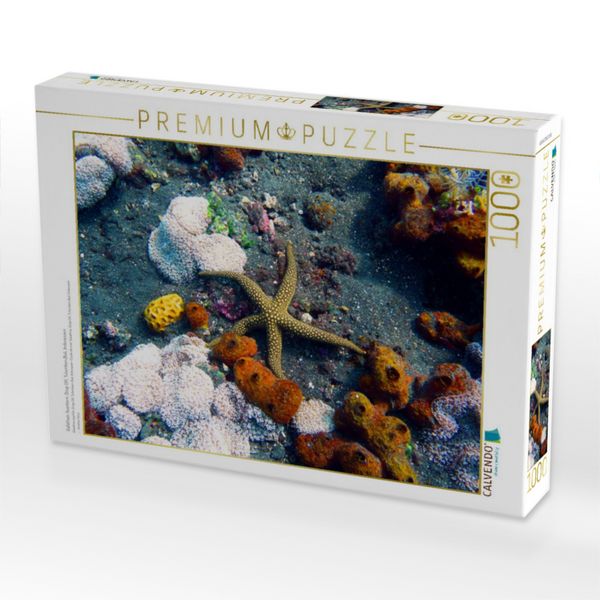 Produktbild: CALVENDO Puzzle Galathea-Seestern, Drop Off, Tulamben,Bali, Indonesien | 1000 Teile Lege-Gr&ouml;&szlig;e 64x48cm Foto-Puzzle f&uuml;r gl&uuml;ckliche Stunden