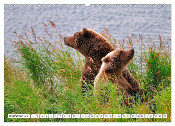 Produktbild: Alaska - Lockruf der Wildnis (hochwertiger Premium Wandkalender 2026 DIN A2 quer), Kunstdruck in Hochglanz