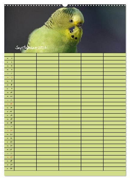 Produktbild: Der Wellensittich-Familienplaner (hochwertiger Premium Wandkalender 2026 DIN A2 hoch), Kunstdruck in Hochglanz