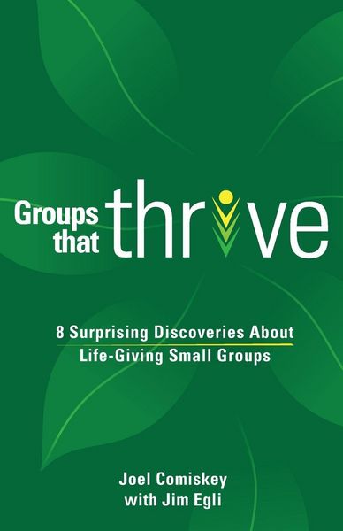Produktbild: Groups that Thrive
