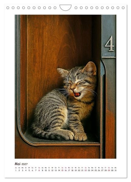 Produktbild: Wer f&auml;hrt denn da? Ein tierisches Paternoster Vergn&uuml;gen (Wandkalender 2027 DIN A4 hoch), CALVENDO Monatskalender