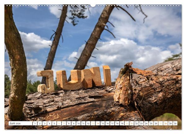 Produktbild: Holz, ein fantastischer Rohstoff. (hochwertiger Premium Wandkalender 2026 DIN A2 quer), Kunstdruck in Hochglanz