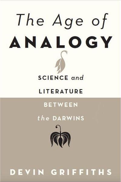 Produktbild: Age of Analogy