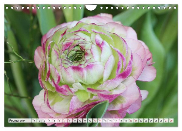 Produktbild: Blumen, bunt gemischt (Wandkalender 2027 DIN A4 quer), CALVENDO Monatskalender