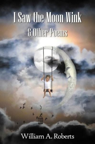 Produktbild: I Saw the Moon Wink