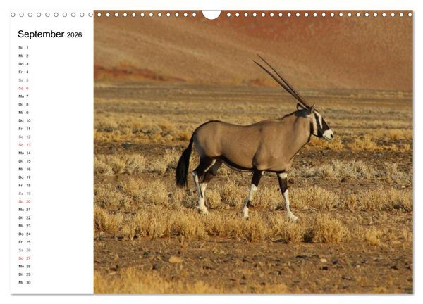 Produktbild: Namibia - Tierische Vielfalt (Planer) (Wandkalender 2026 DIN A3 quer), CALVENDO Monatskalender