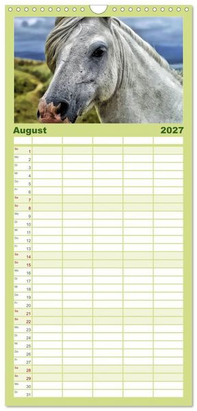 Produktbild: Familienplaner 2027 - Wilde Pferde &bull; Mustangs in USA mit 5 Spalten (Wandkalender, 21 x 45 cm) CALVENDO