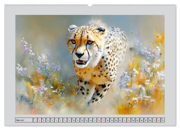 Produktbild: Geparden. Eleganz zwischen Speed und Stille (hochwertiger Premium Wandkalender 2027 DIN A2 quer), Kunstdruck in Hochglanz