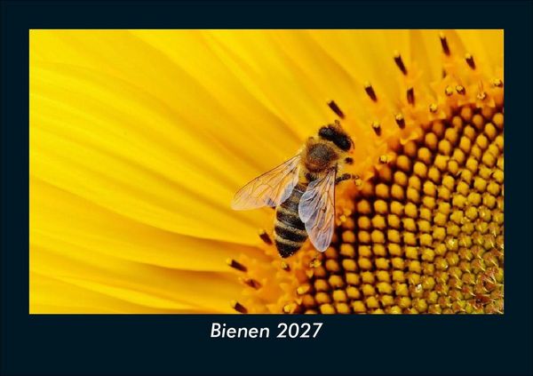 Produktbild: Bienen 2027 Fotokalender DIN A5