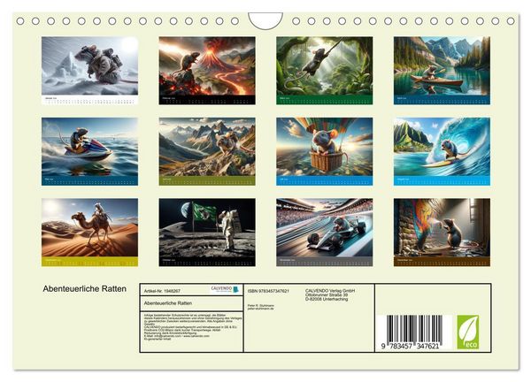 Produktbild: Abenteuerliche Ratten (Wandkalender 2026 DIN A4 quer), CALVENDO Monatskalender