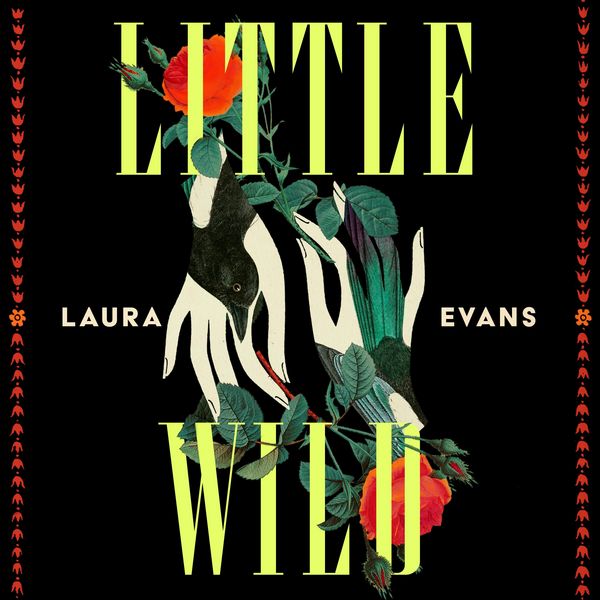 Produktbild: Little Wild