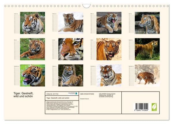 Produktbild: Tiger. Gestreift, wild und sch&ouml;n (Wandkalender 2026 DIN A3 quer), CALVENDO Monatskalender
