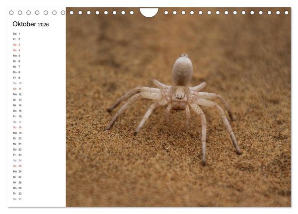 Produktbild: Namibia - Tierische Vielfalt (Planer) (Wandkalender 2026 DIN A4 quer), CALVENDO Monatskalender