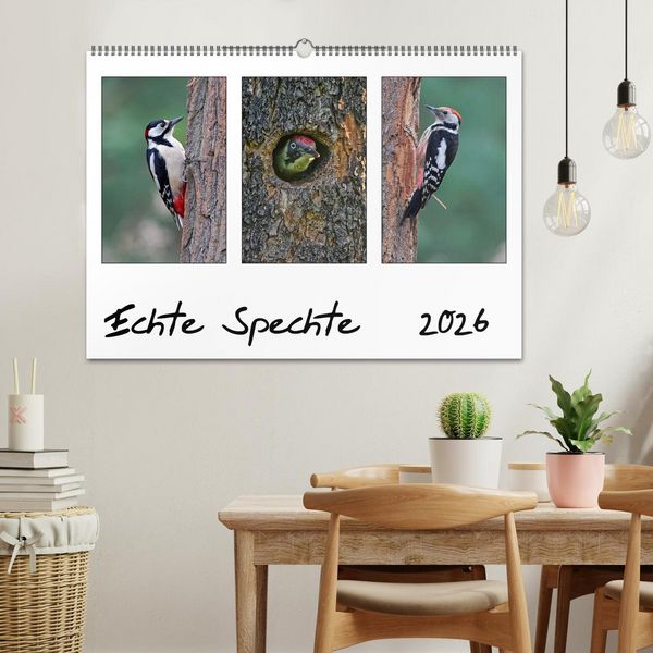 Produktbild: Echte Spechte (Wandkalender 2026 DIN A2 quer), CALVENDO Monatskalender