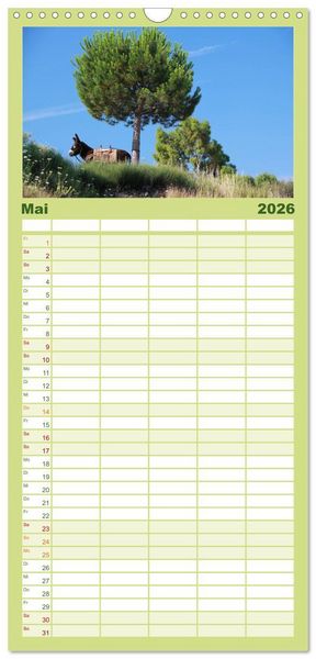 Produktbild: Familienplaner 2026 - Esel - liebenswerte Langohren mit 5 Spalten (Wandkalender, 21 x 45 cm) CALVENDO