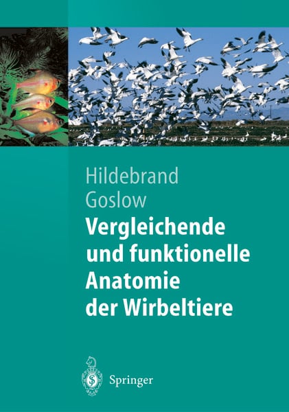 Vergleichende und funktionelle Anatomie der Wirbeltiere