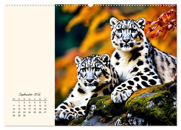 Produktbild: Im Reich der Schneeleoparden (Wandkalender 2026 DIN A2 quer), CALVENDO Monatskalender